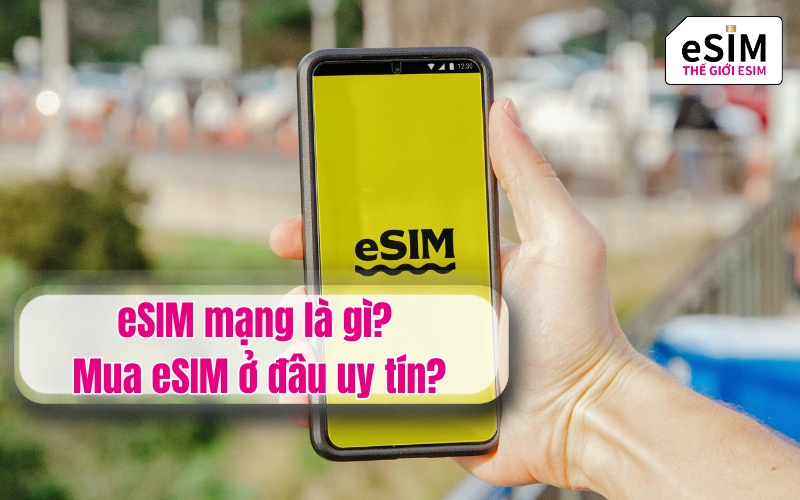 eSIM mạng là gì? Mua eSIM ở đâu uy tín?